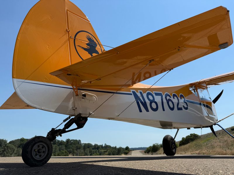 2016 RANS 2016 Rans S-20 Raven - Image 9