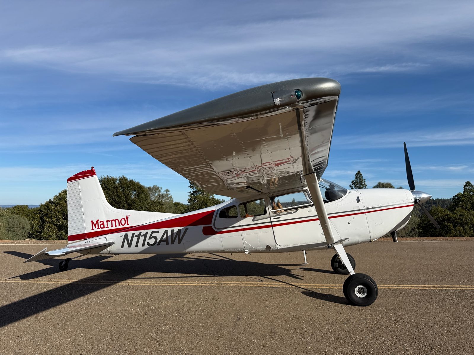 1976 CESSNA Cessna A185F Skywagon - Image 7